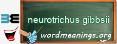 WordMeaning blackboard for neurotrichus gibbsii